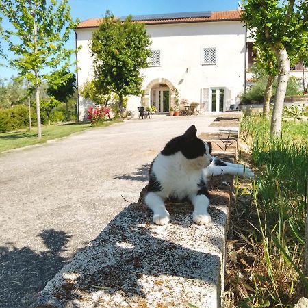Le Piracante Caiazzo Exterior foto