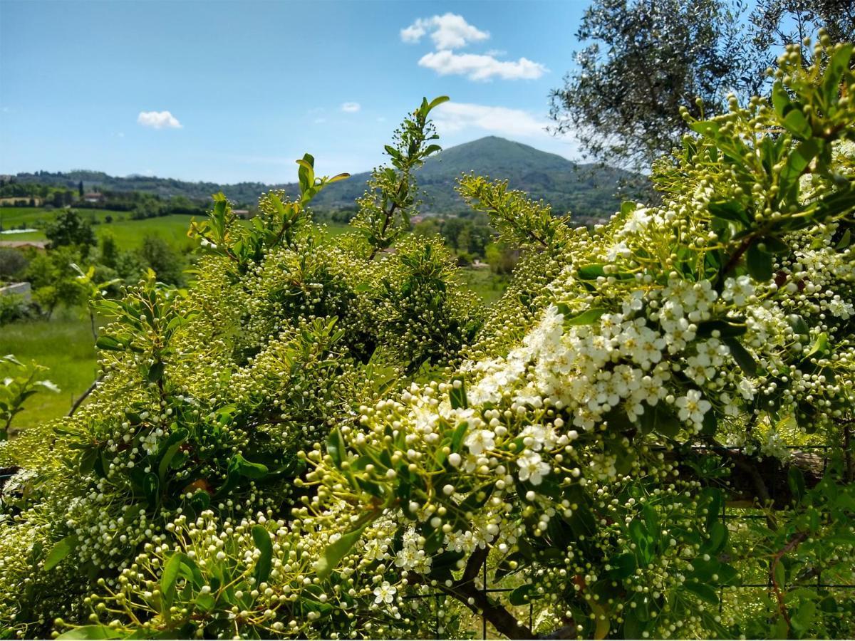 Le Piracante Caiazzo Exterior foto