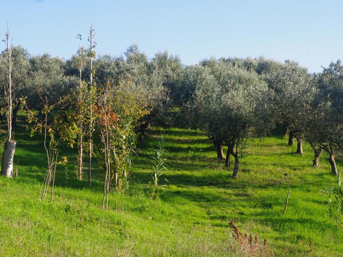Le Piracante Caiazzo Exterior foto